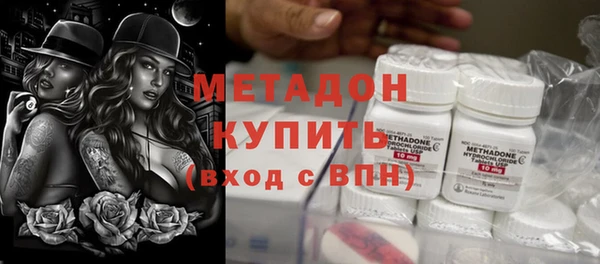 сатива Каменка