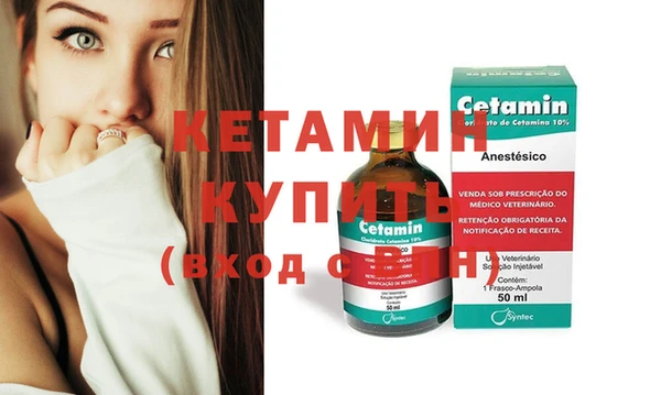 сатива Каменка