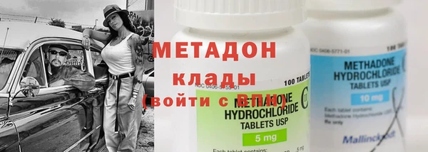 сатива Каменка