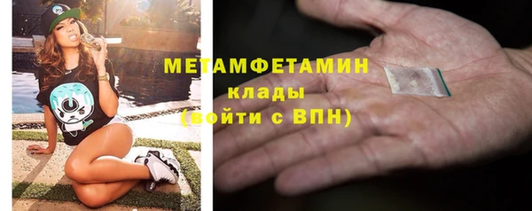 сатива Каменка