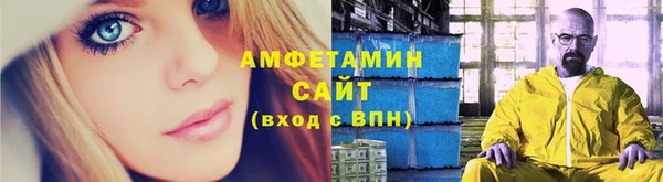 сатива Каменка