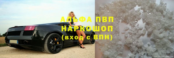 сатива Каменка