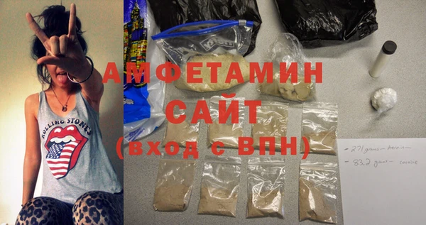 сатива Каменка