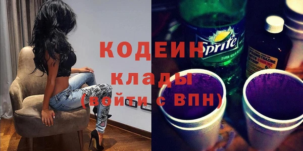 индика Касимов