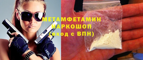 сатива Каменка