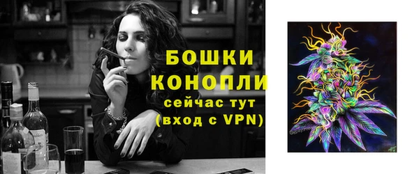 ECSTASY Галич