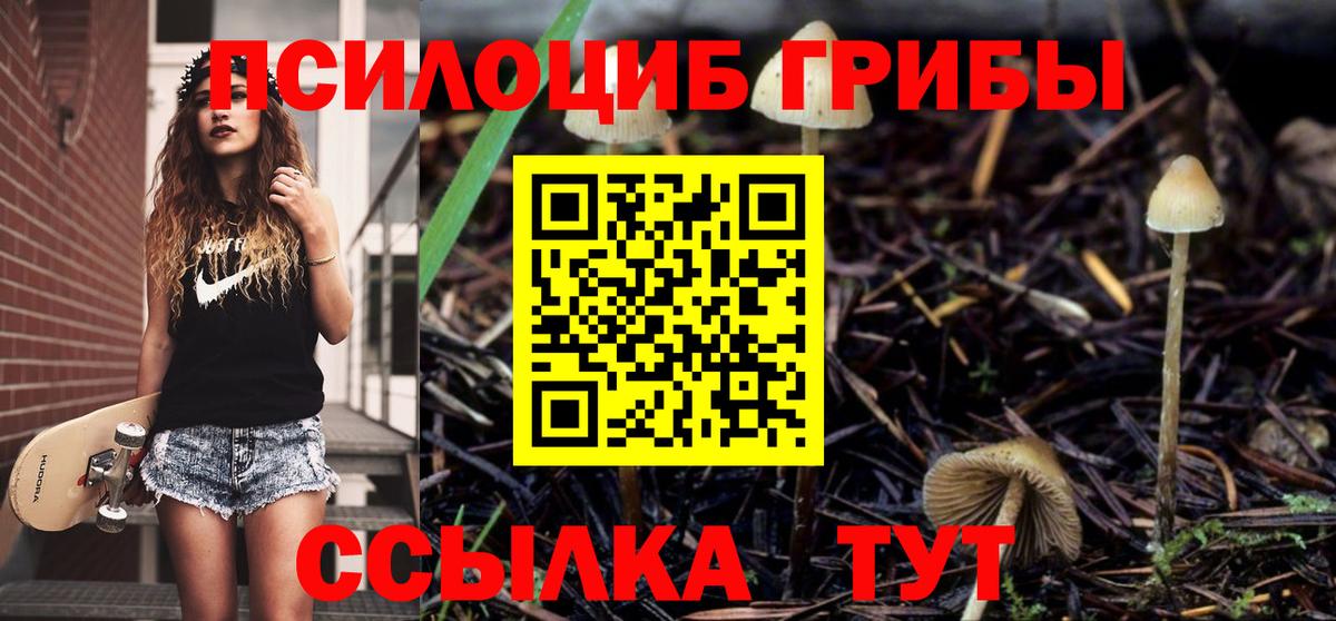 Галлюциногенные грибы GOLDEN TEACHER  Галлюциногенные грибы Cubensis  Железногорск 