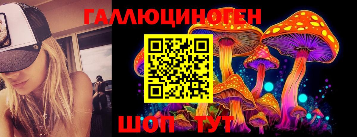 Псилоцибиновые грибы GOLDEN TEACHER Железногорск