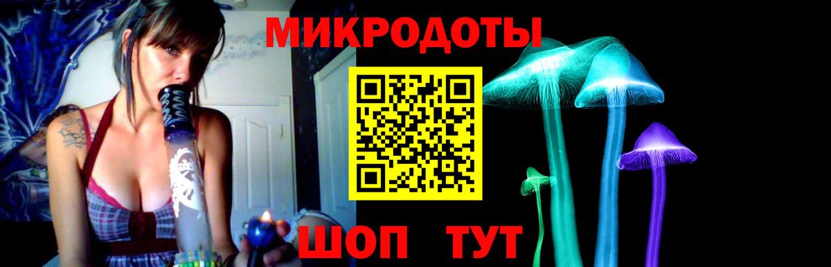 Галлюциногенные грибы прущие грибы  Вход с VPN  Железногорск 